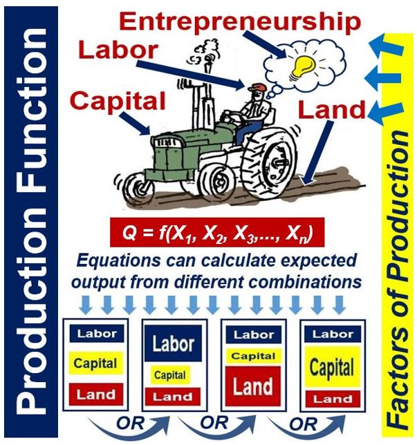 production function equation