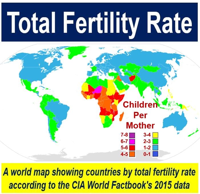 very-low-fertility-rates-policies-solutions-lesson-study