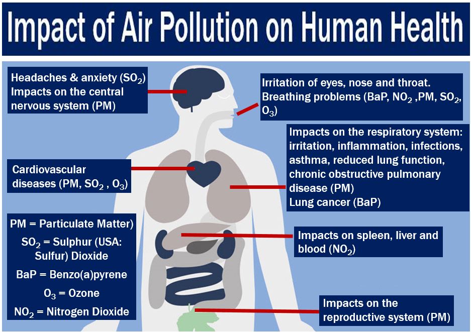 nitrogen-dioxide-as-damaging-as-partner-death-or-job-loss-market