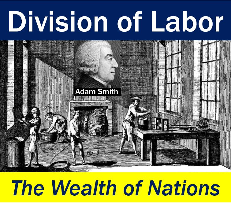 The Theory Of The Division Of Labor