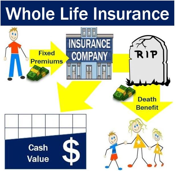 Life Insurance Definition Class 11