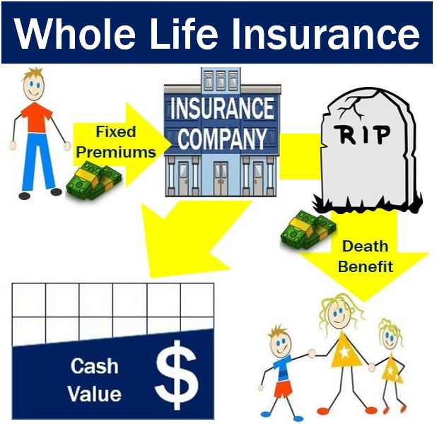 Whole Life Insurance Definition And Meaning Market Business News 