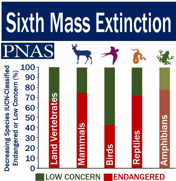 sixth-mass-extinction-currently-underway-say-scientists-market