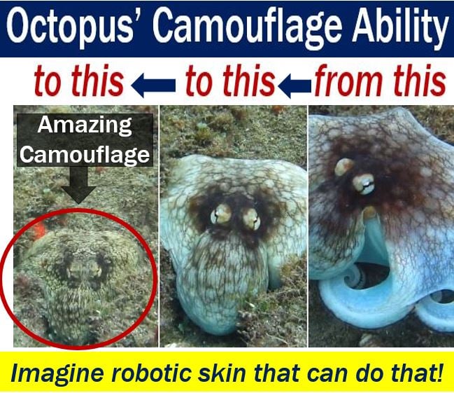 Imagine robotic skin that can change like an octopus