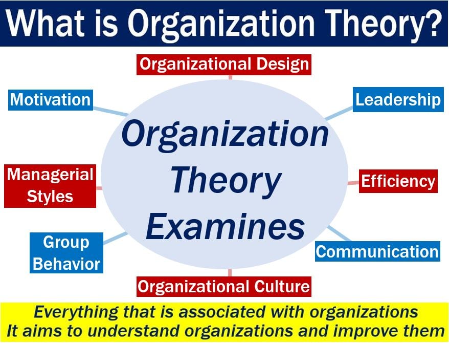 Organizations and Organization Theory - 洋書