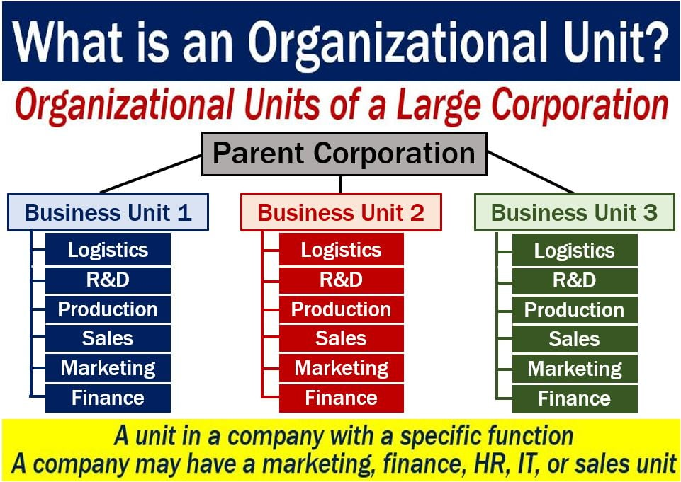 organizational-unit-definition-and-meaning-market-business-news