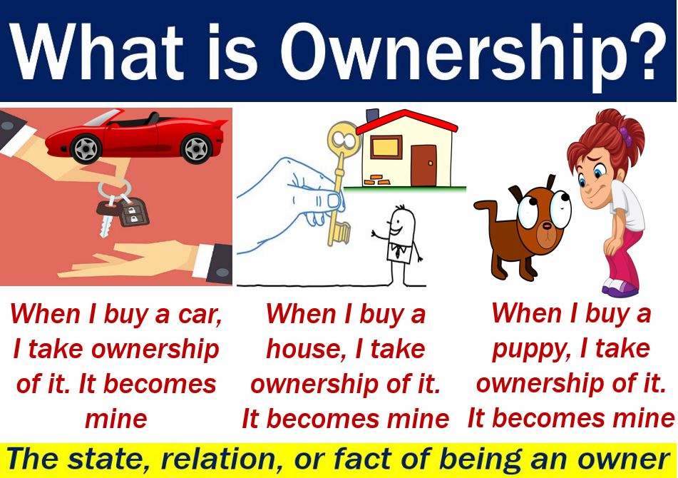 Ownership Definition And Meaning Market Business News