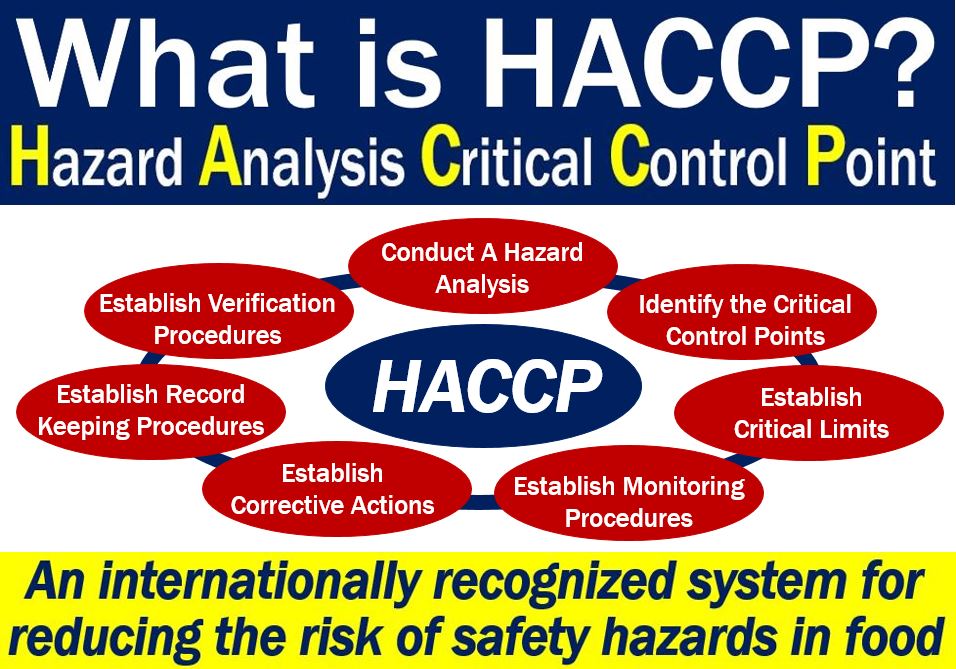 Principles Of Haccp The Principles Of Haccp Stock Illustration Illustration Hazard