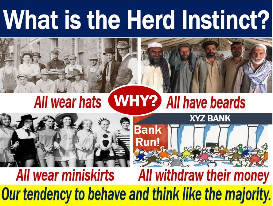 Herd Instinct definition