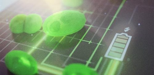 algae-based solar cells artist impression