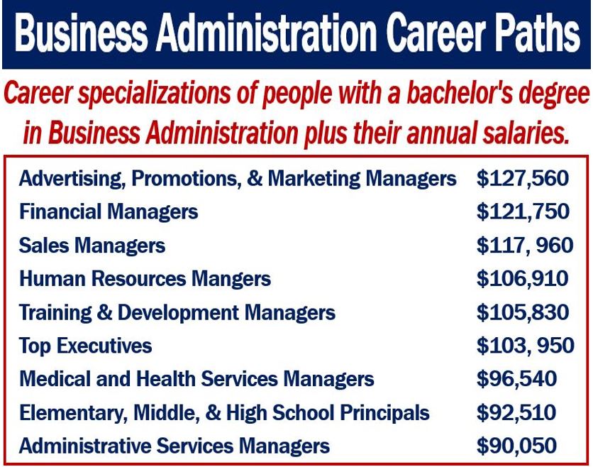 Business Administration Career Paths