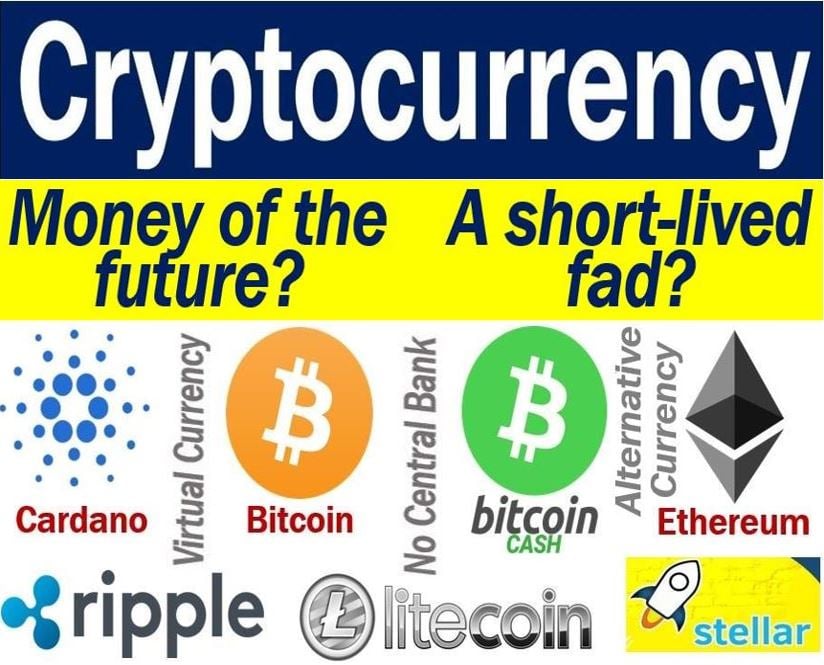Cryptocurrencies - money of the future or flash in the pan