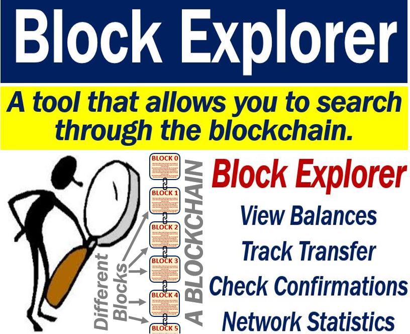 algo block explorer