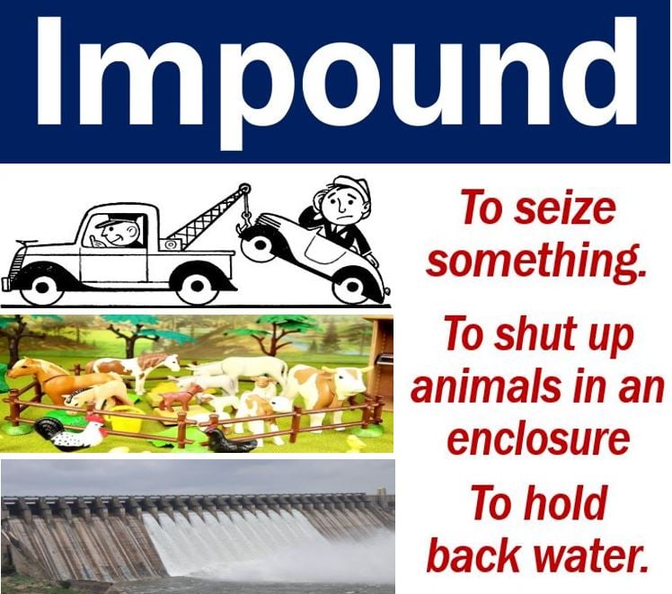 Impound - definition and example - Market Business News