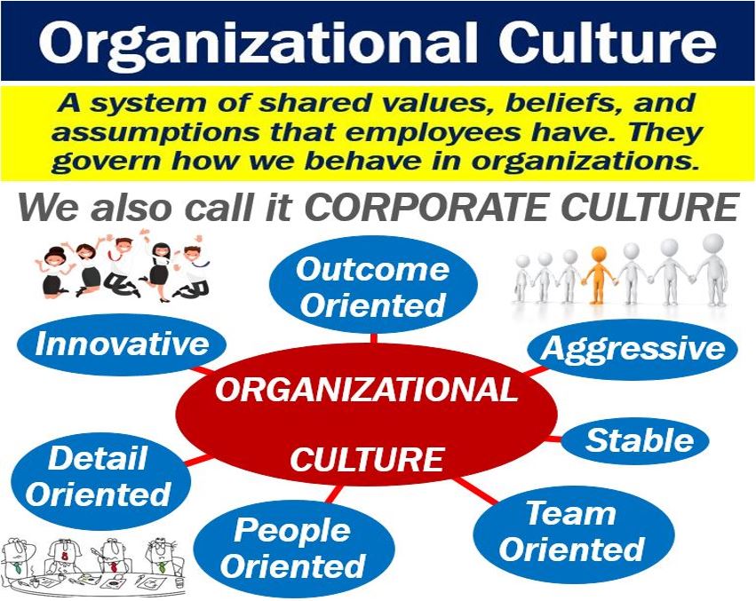 What Is Organizational Culture?