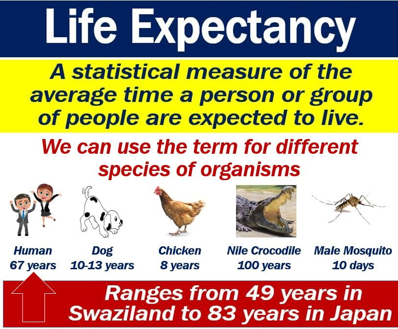 Explain Life Expectancy At Birth