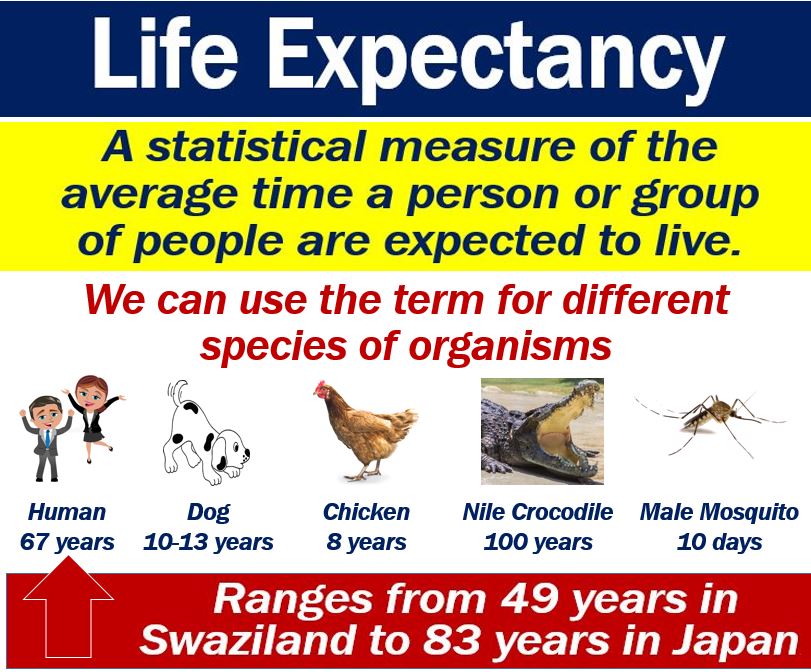 What Is Life Expectancy Definition And Examples Market Business News