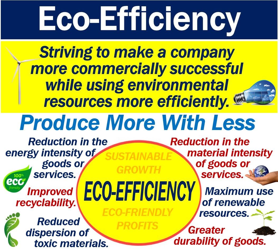Eco-efficiency