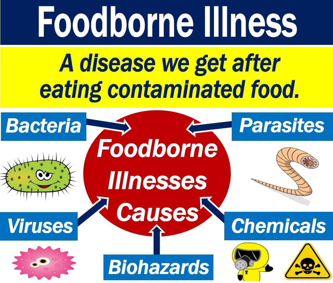 what is the scientific name for foodborne illness