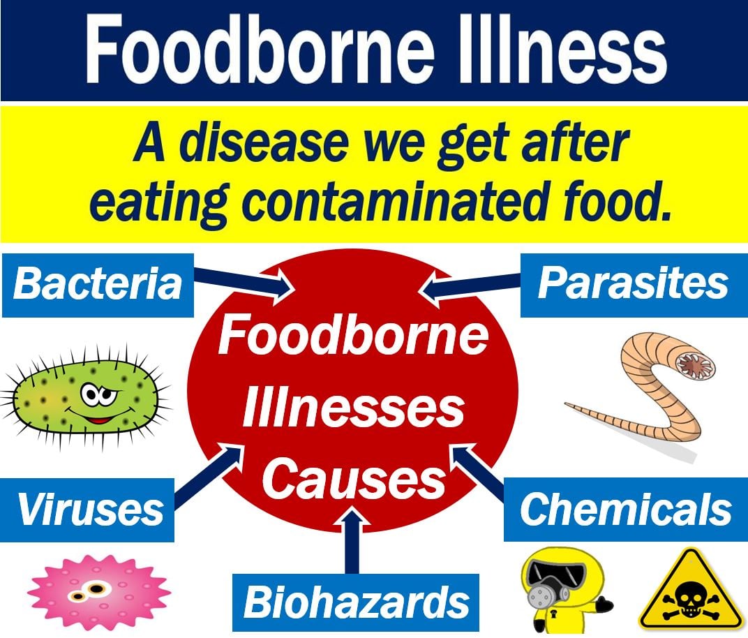 What Are The Top 5 Foodborne Illnesses