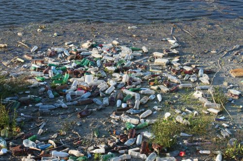 floating garbage of plastic bottles pixabay 87342
