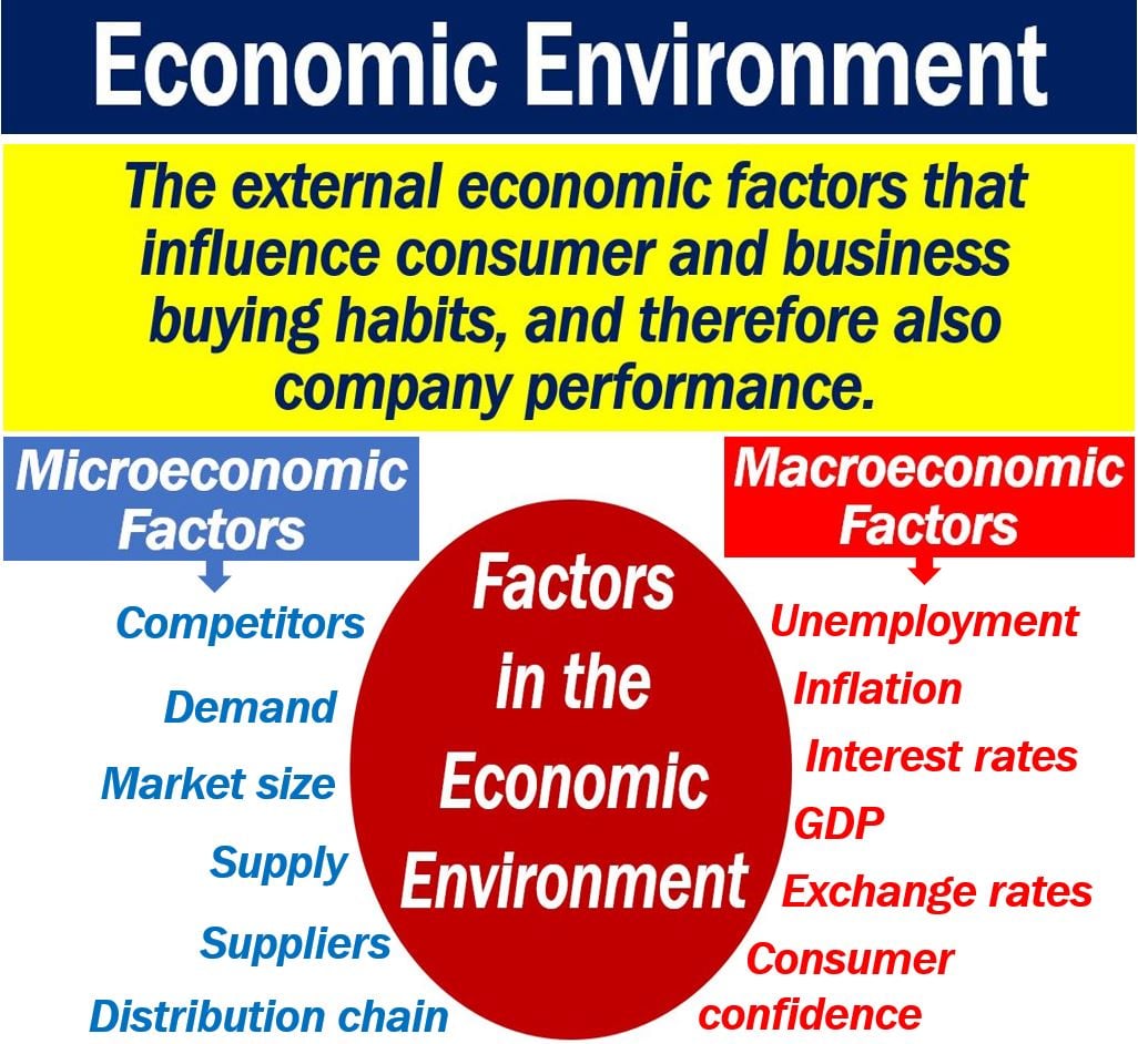 explain the characteristics of the local business environment