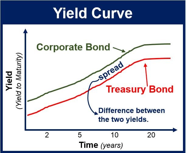 Yield Curve