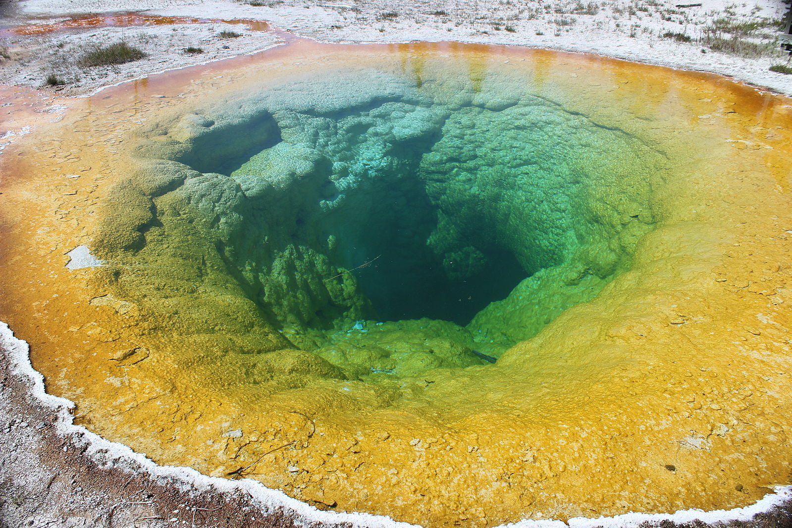 morning glory pool yellowstone