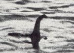 Nessie