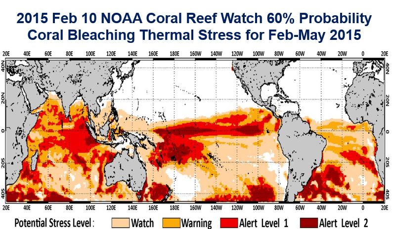 Coral Bleeching Alert