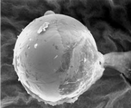 Microscopic sphere