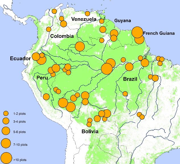 Amazon Rainforest Study Plots