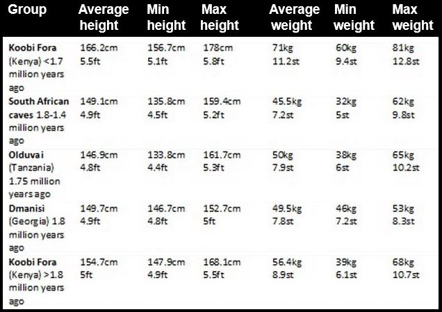 Ancient humans height and weight