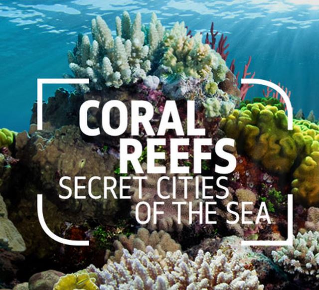 Coral Reefs of the Sea exibition