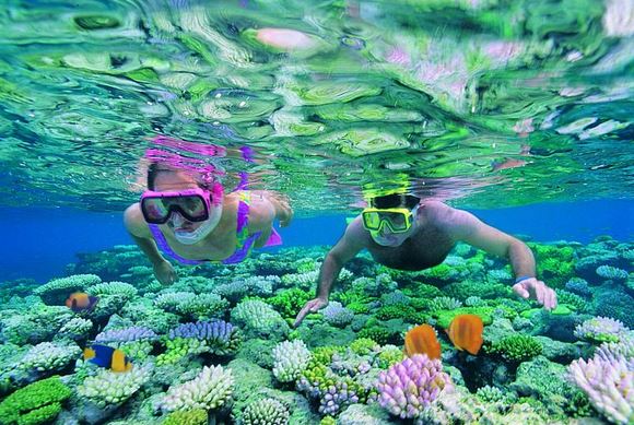 Coral reef ecotourism