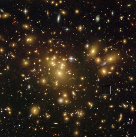 Galaxy Cluster