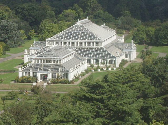 Stop starving Kew Gardens and give it more autonomy, say MPs - Market ...