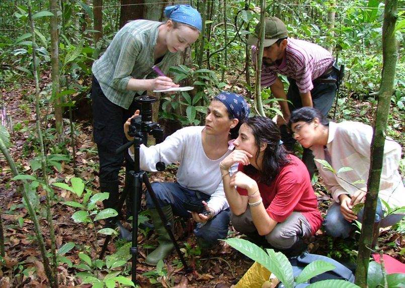 Measuring trees in the Amazon