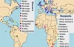 Where Americans come from