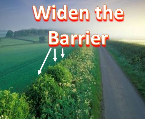 Widen the Barrier English Hedgerows