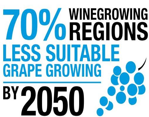 Wine Growing Regions