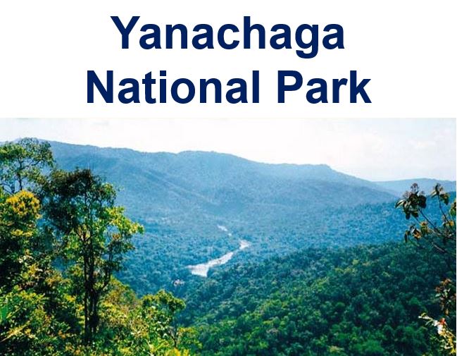 Yanachaga National Park Peru