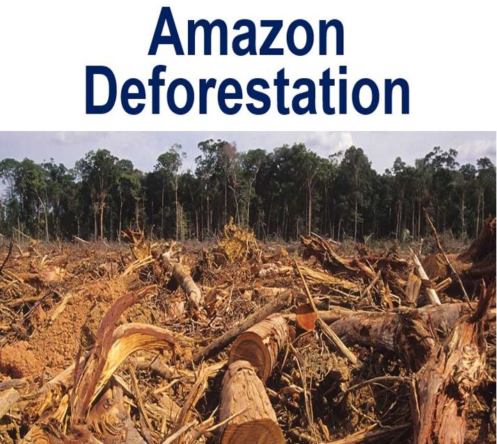 Amazon Deforestation