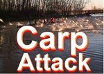 Carp attack thumbnail