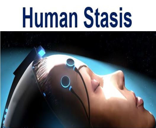 Human Stasis