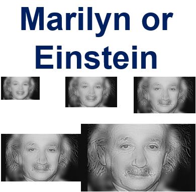 Marylin or Einstein