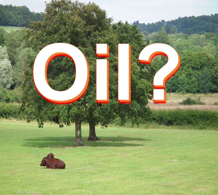 Oil in surrey