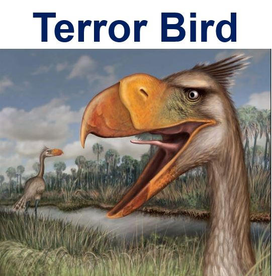 Prehistoric Terror Bird