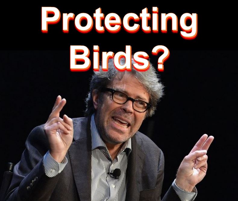 Protecting birds