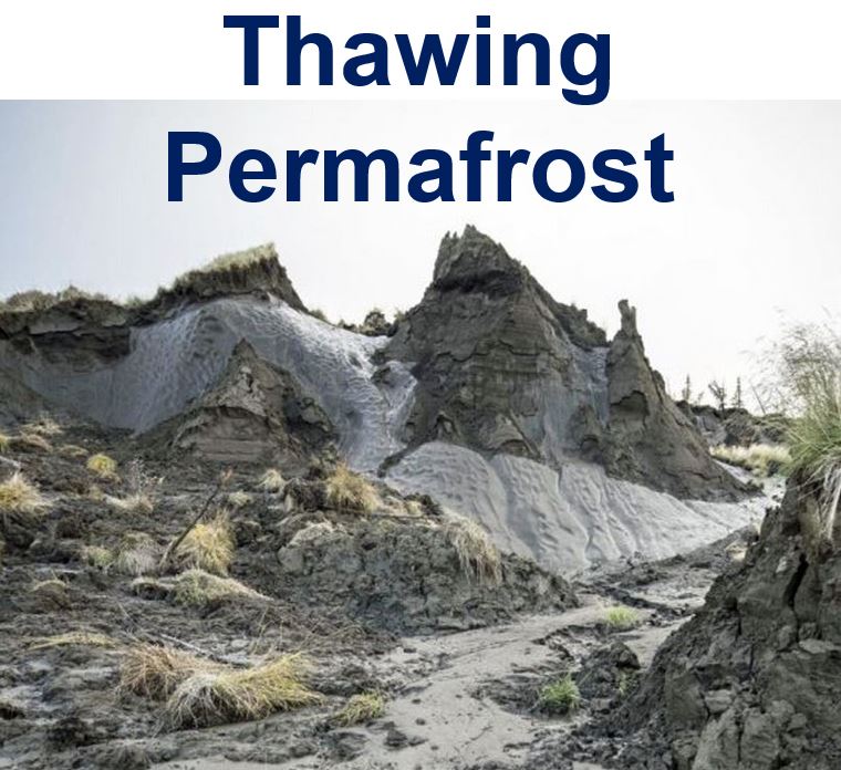 Thawing permafrost Actic